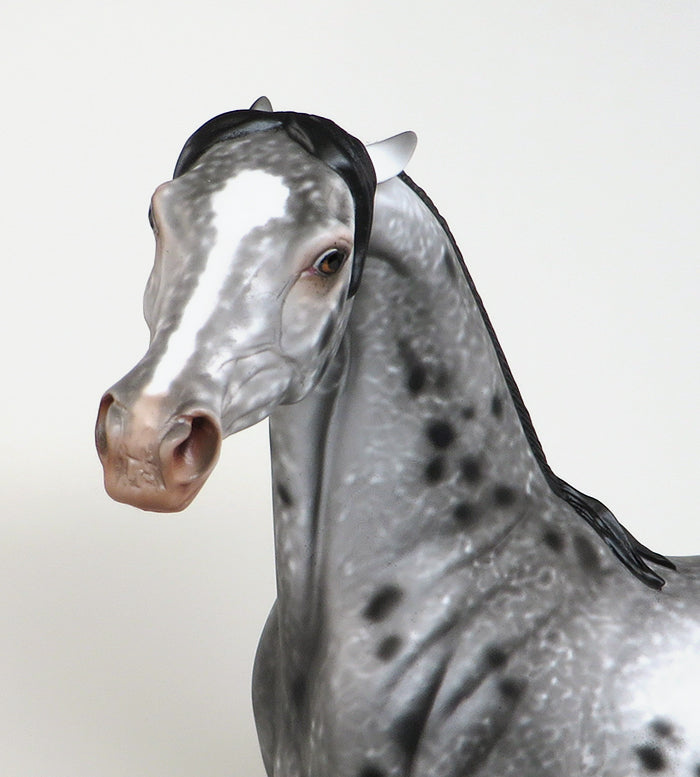 DEVIL WEARS PRADA-OOAK PINNED EAR APPALOOSA MODEL HORSE BY AL 4/26