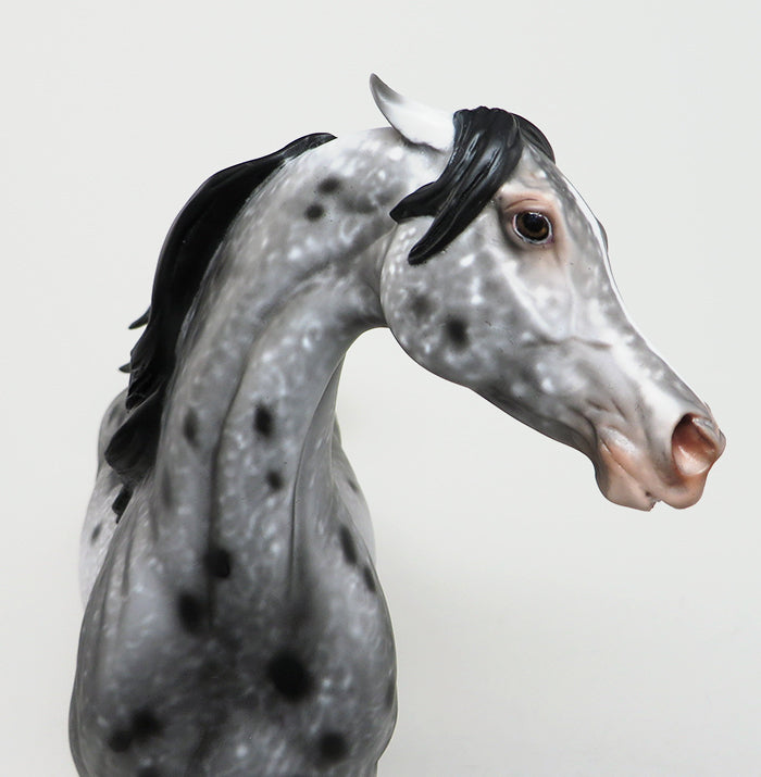 DEVIL WEARS PRADA-OOAK PINNED EAR APPALOOSA MODEL HORSE BY AL 4/26