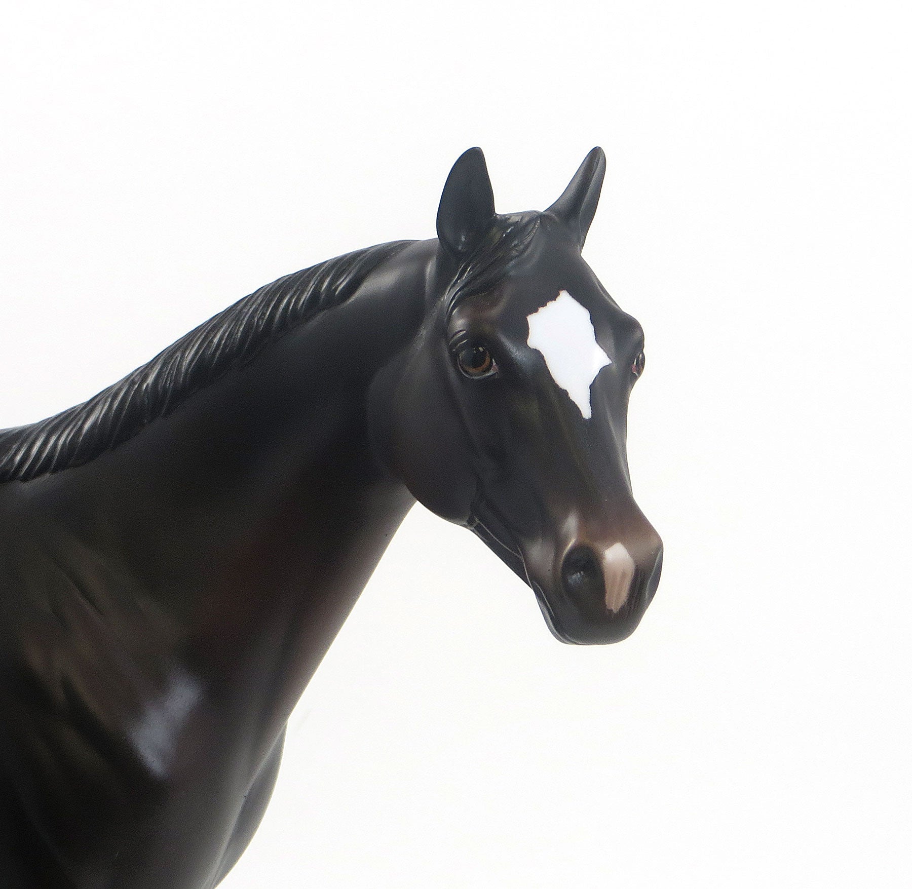 HUSKING BEE - Dark Bay Appaloosa Stock Model Horse - EQ 2015 OOAK - 7/24