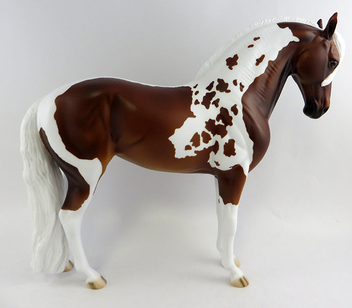 sabby one a kind andalusian