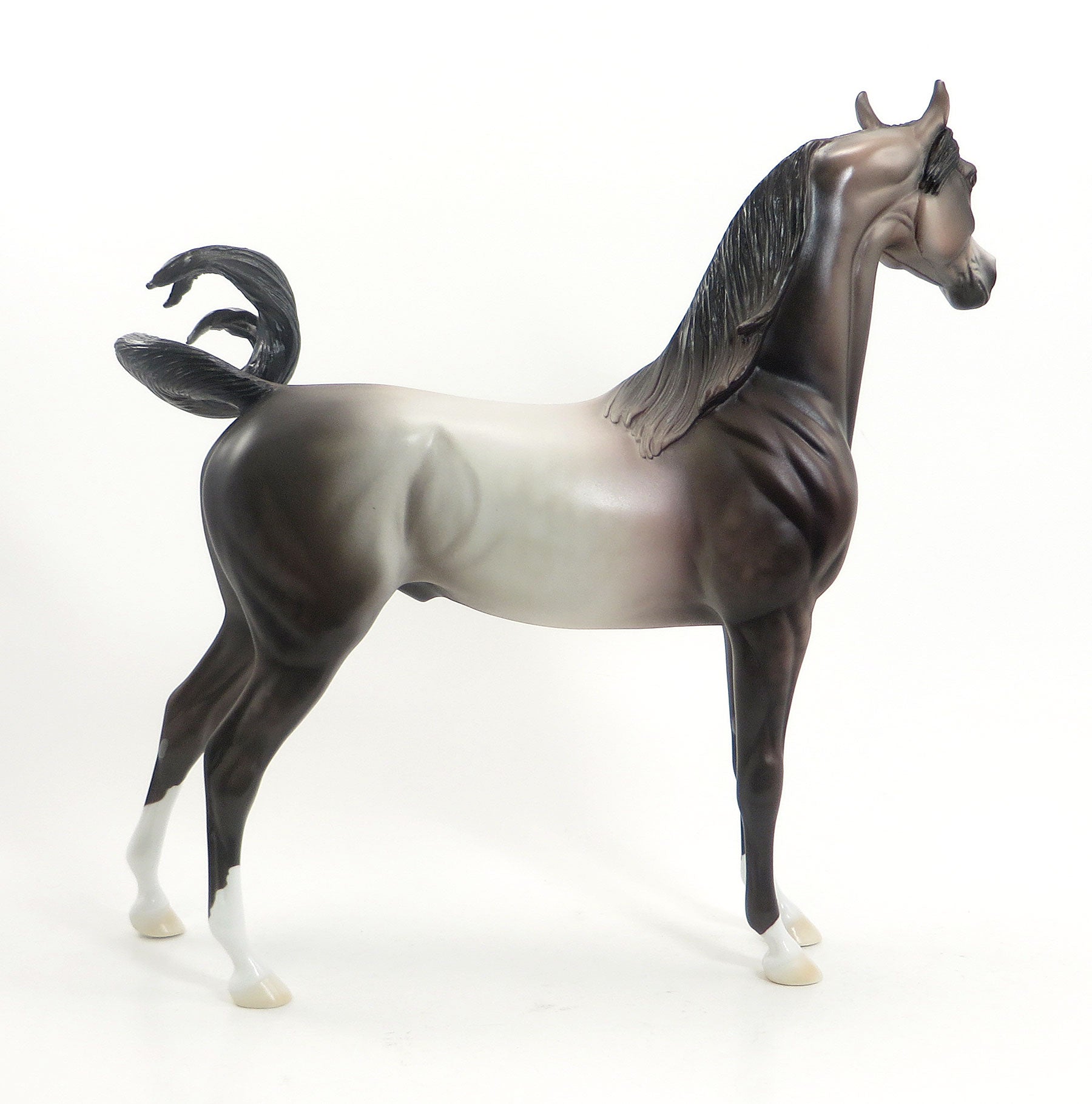 SOUTH BEND BLOOMER - OOAK Dapple Rose Grey Arabian - 7/24