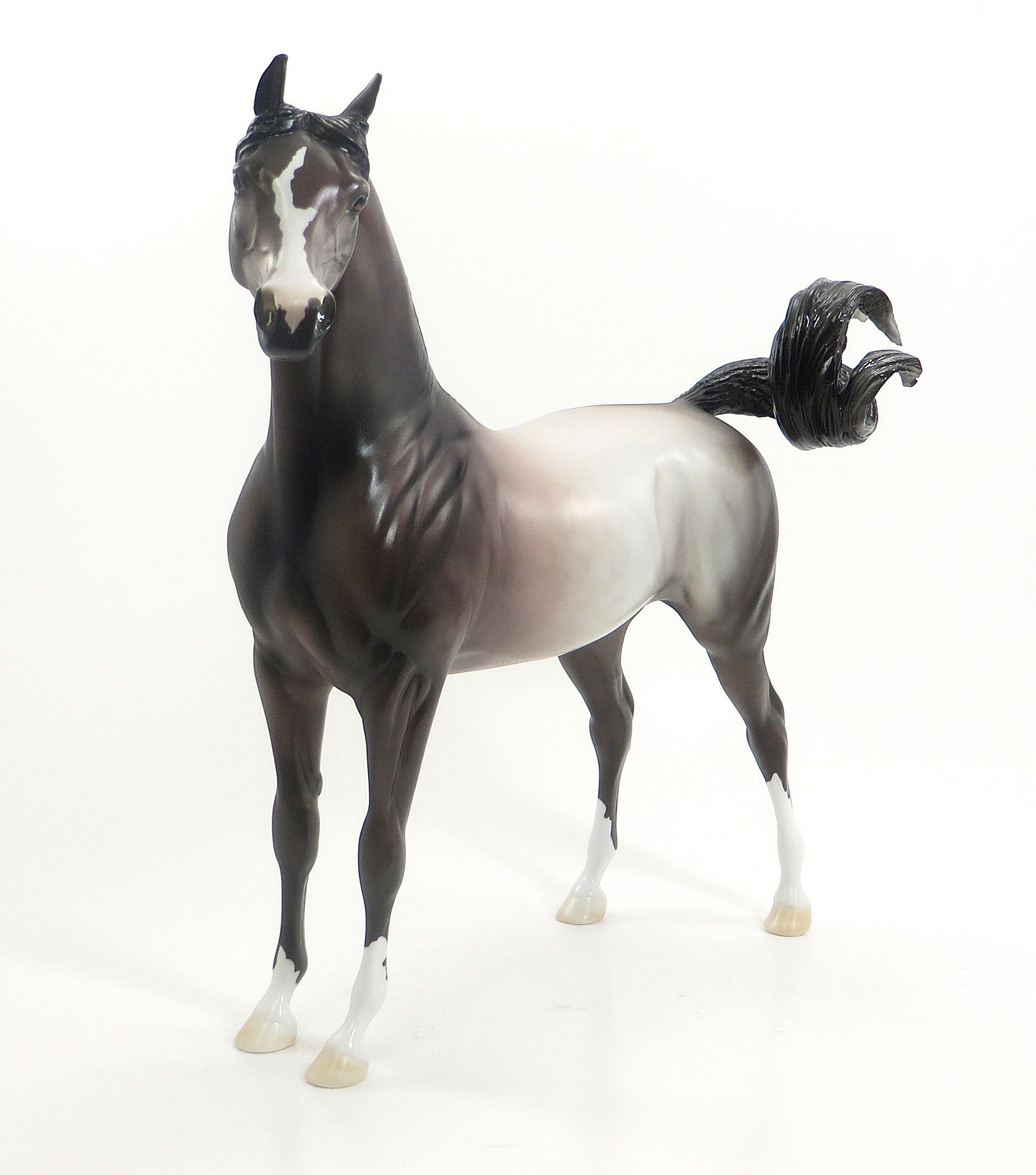 SOUTH BEND BLOOMER - OOAK Dapple Rose Grey Arabian - 7/24