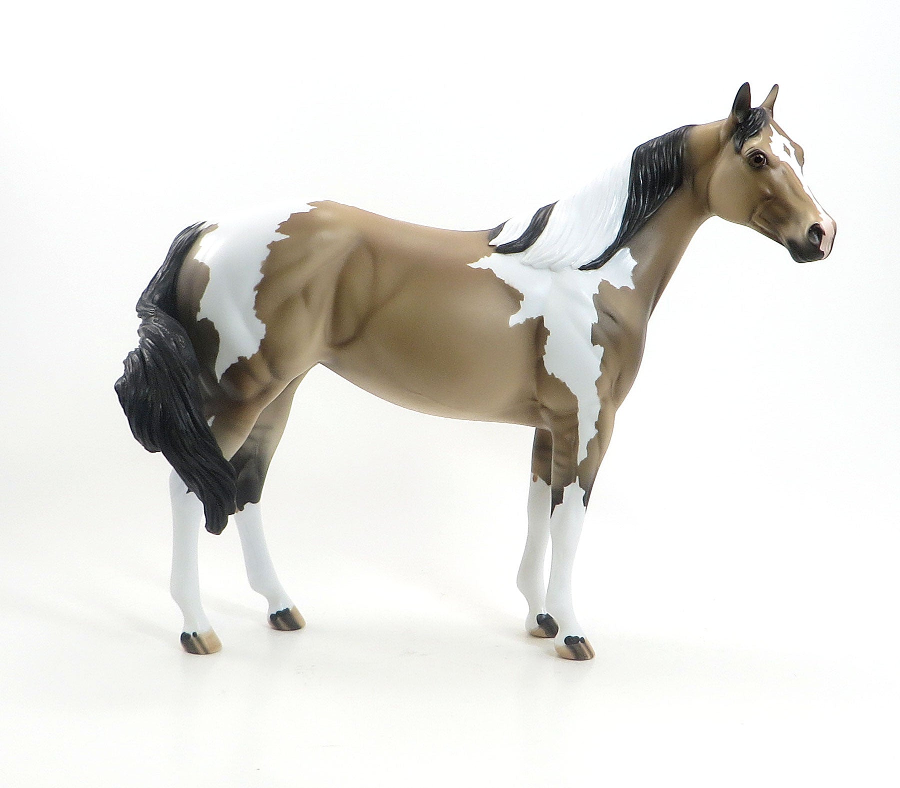 CARAMEL CRUNCH - Sooty Buckskin Pinto Dun Stock Model Horse - LE4 - 7/24