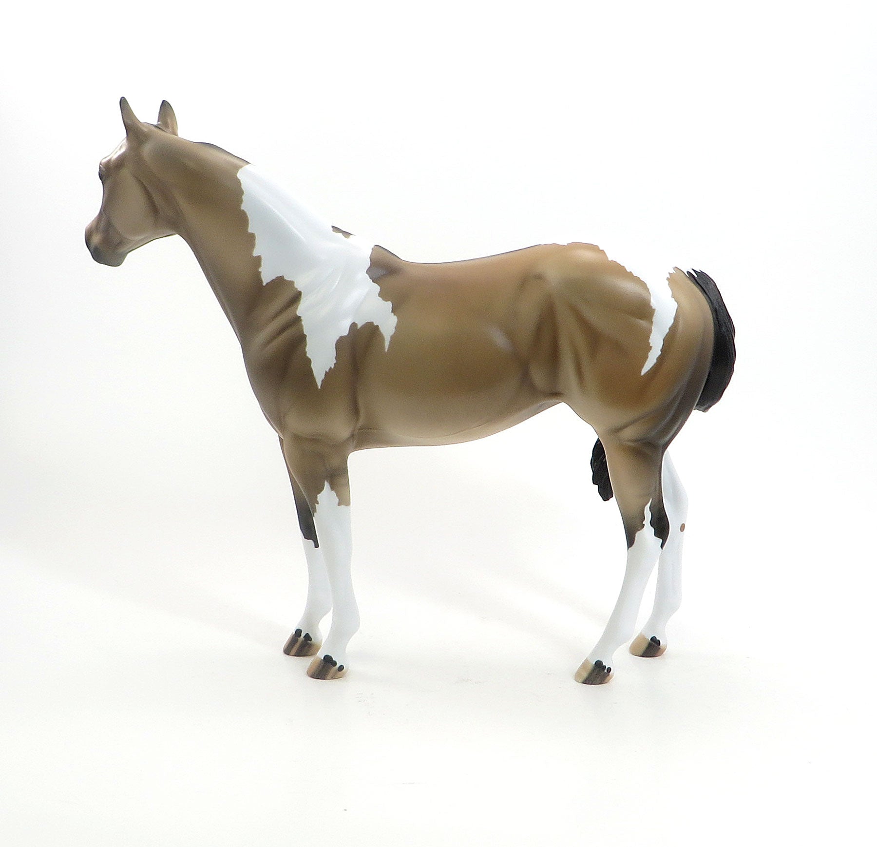 CARAMEL CRUNCH - Sooty Buckskin Pinto Dun Stock Model Horse - LE4 - 7/24