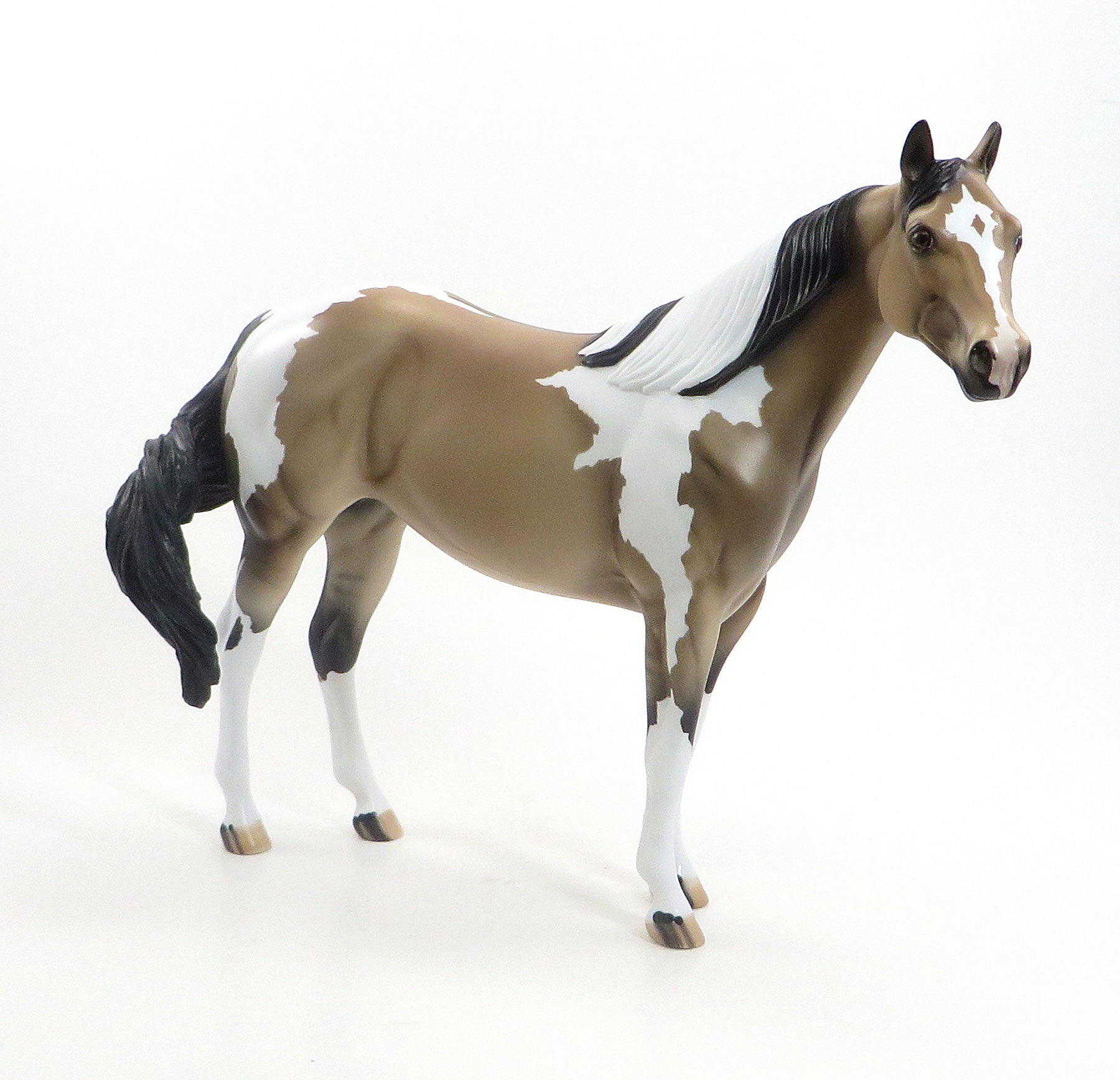 CARAMEL CRUNCH - Sooty Buckskin Pinto Dun Stock Model Horse - LE4 - 7/24