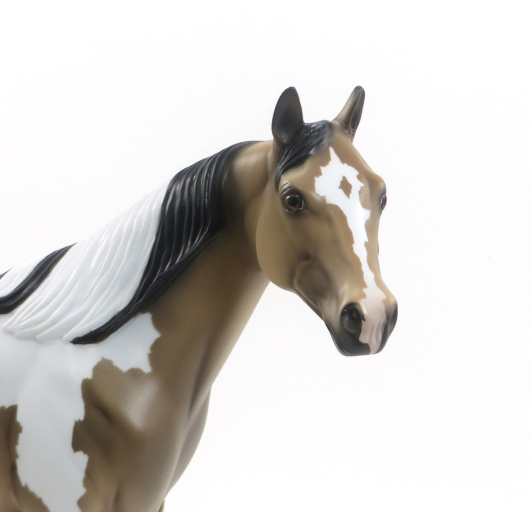 CARAMEL CRUNCH - Sooty Buckskin Pinto Dun Stock Model Horse - LE4 - 7/24