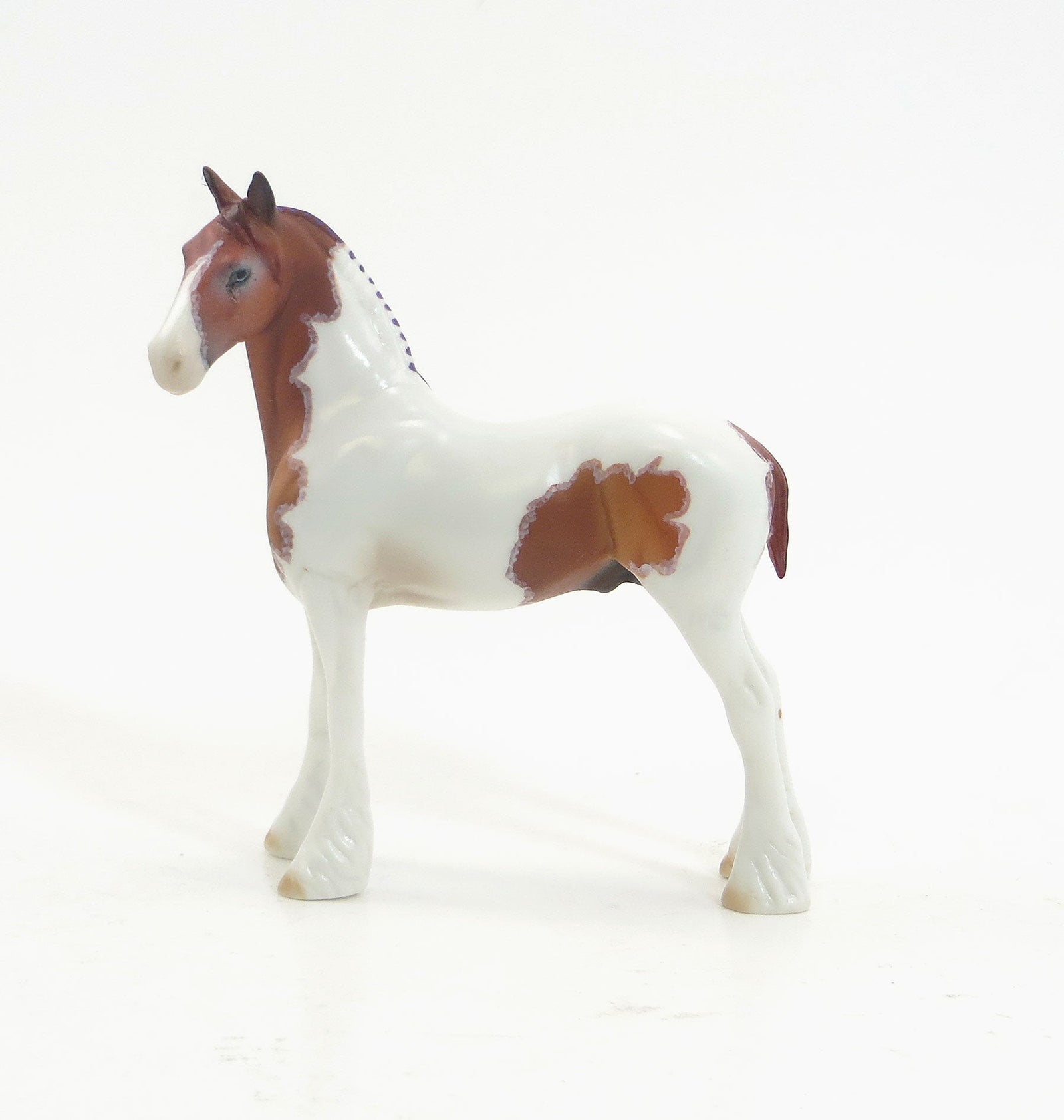 BLAKE - OOAK EQ 2015 Chestnut Pinto Drafter Chip W/ Purple Ribbons 7/23