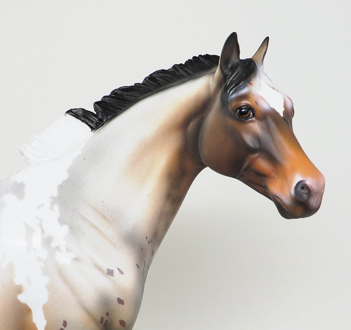 HIPPI-OOAK BAY PINTALOOSA ISH MODEL HORSE 4/27