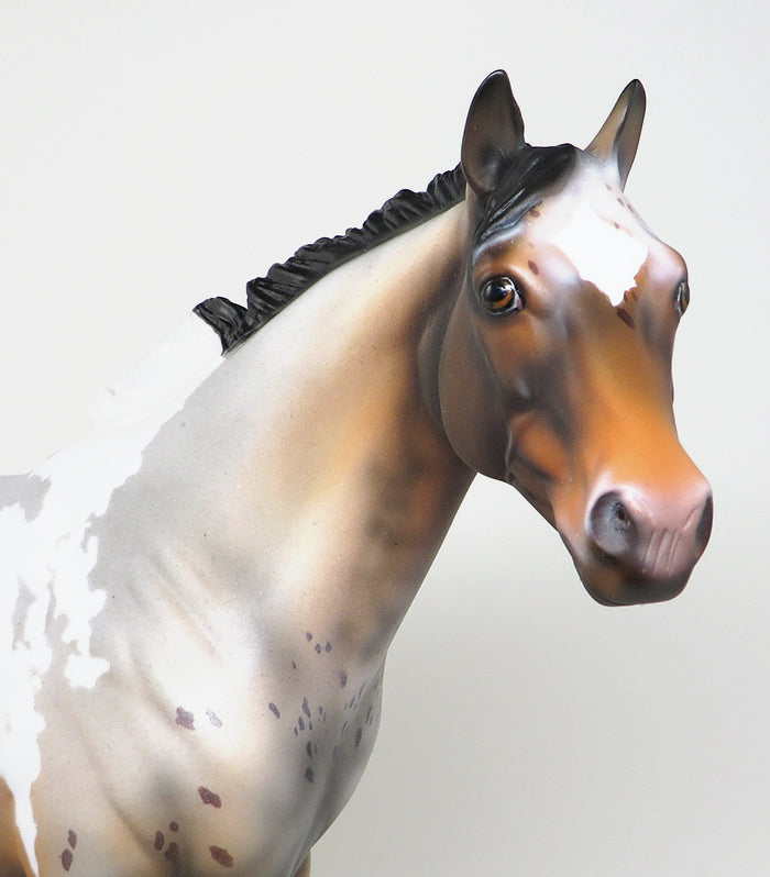 HIPPI-OOAK BAY PINTALOOSA ISH MODEL HORSE 4/27