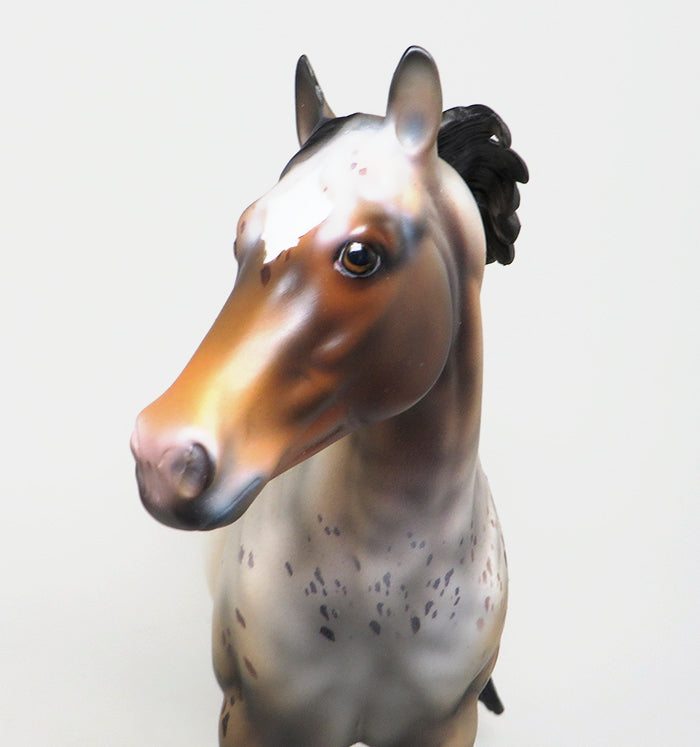 HIPPI-OOAK BAY PINTALOOSA ISH MODEL HORSE 4/27