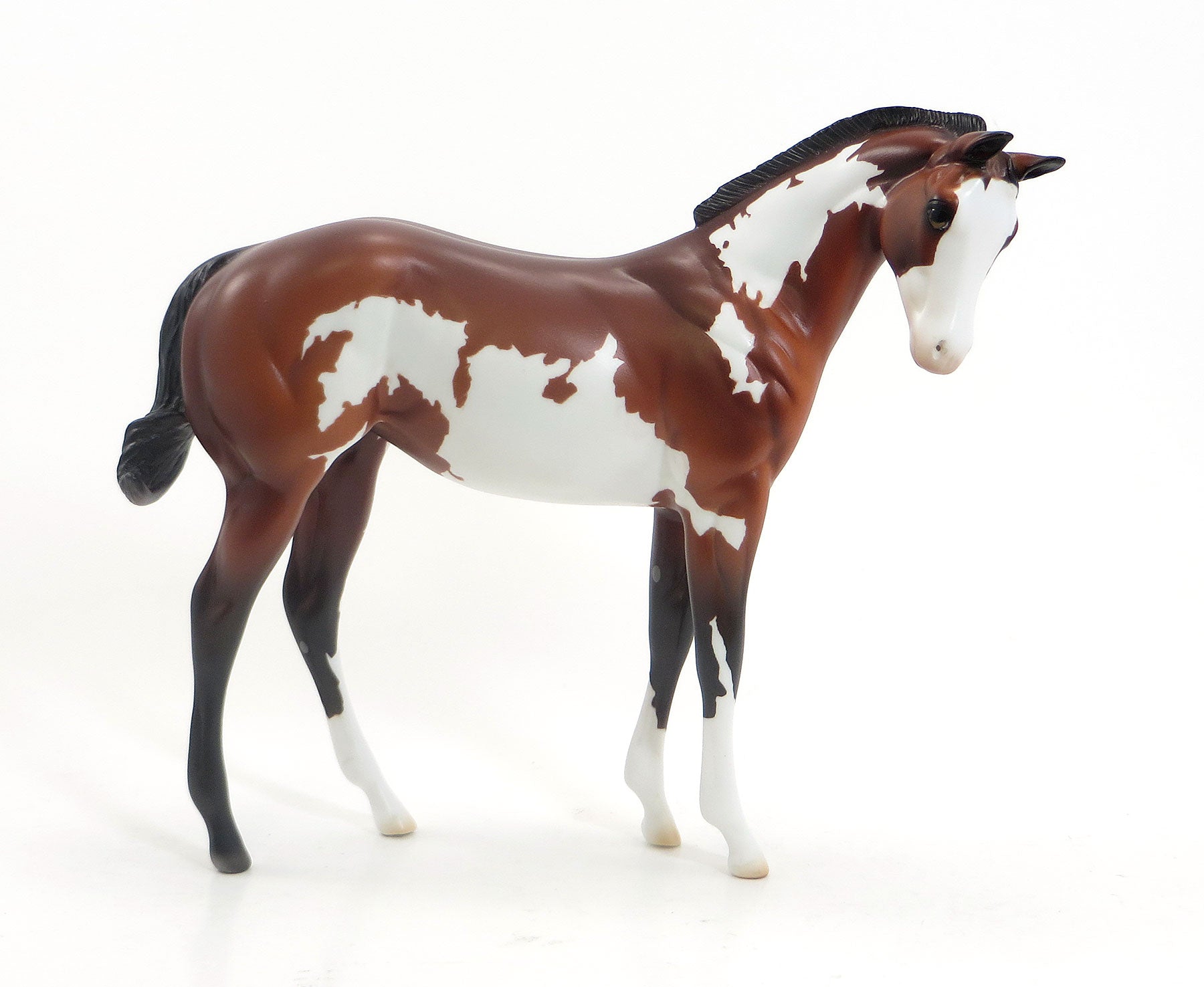 INTENSE SUSPENSE - LE4 Blood Bay Pinto Weanling Model Horse - 7/23