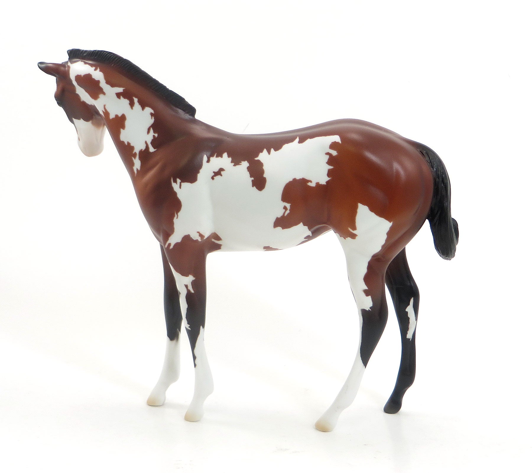 INTENSE SUSPENSE - LE4 Blood Bay Pinto Weanling Model Horse - 7/23