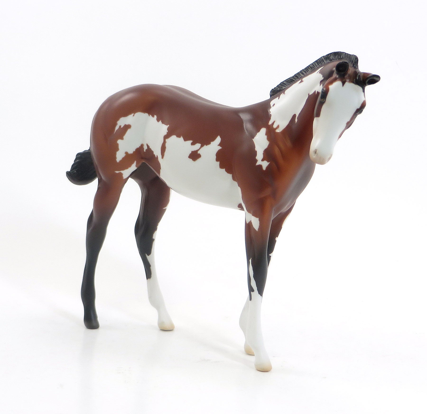 INTENSE SUSPENSE - LE4 Blood Bay Pinto Weanling Model Horse - 7/23