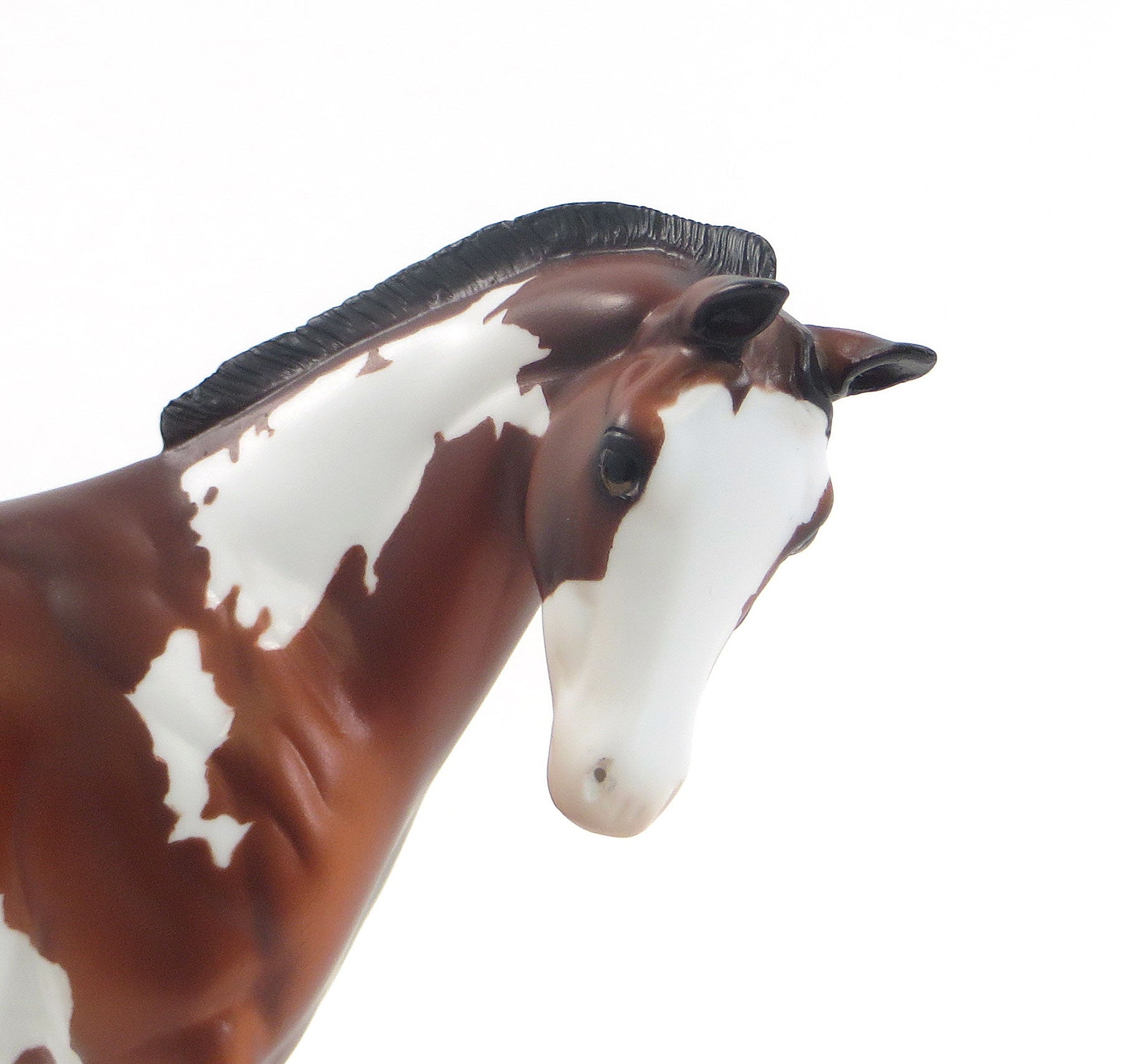 INTENSE SUSPENSE - LE4 Blood Bay Pinto Weanling Model Horse - 7/23