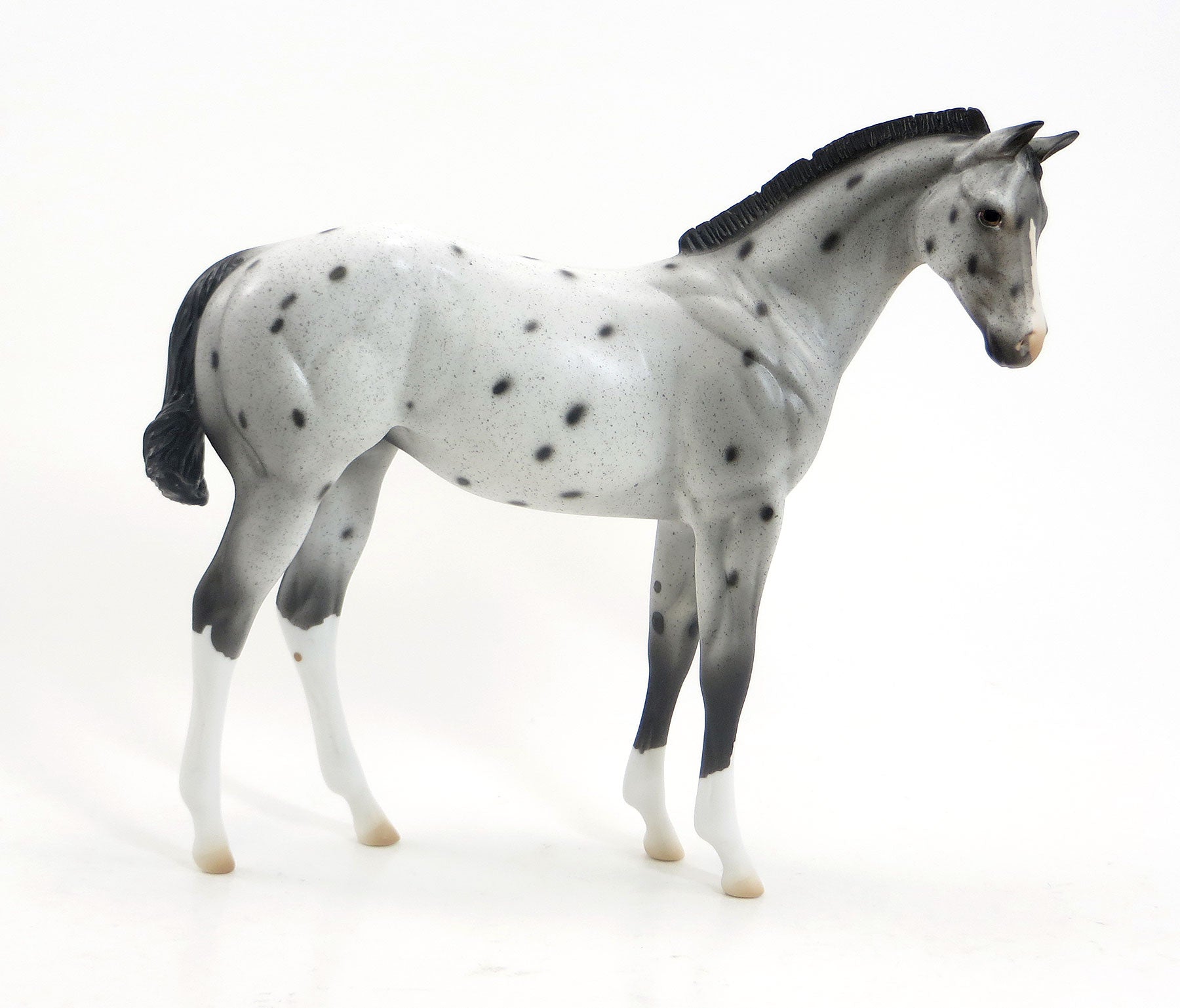 BO-PEEP - OOAK Appaloosa Weanling Model Horse - EQ 2015 - 7/23