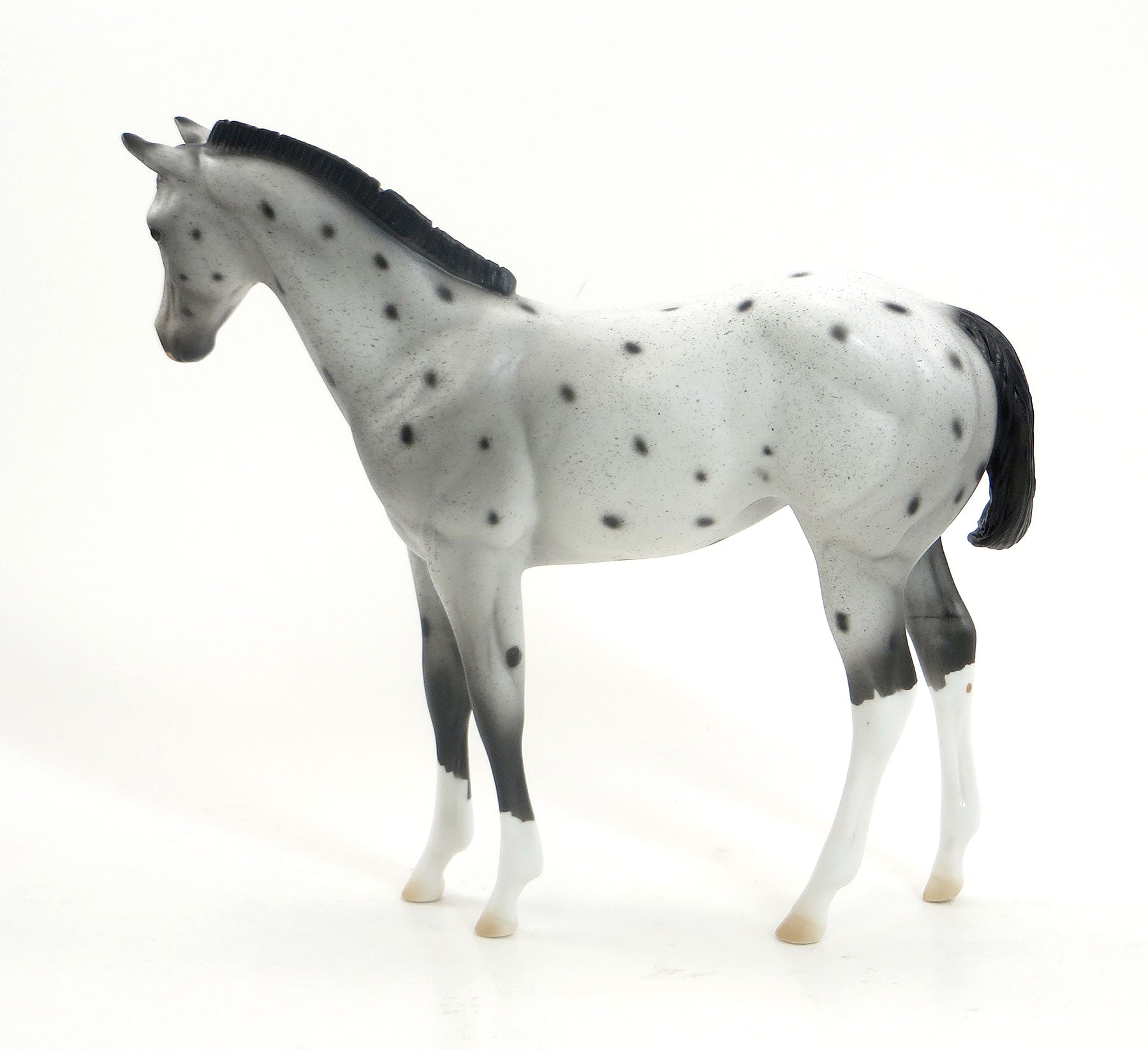 BO-PEEP - OOAK Appaloosa Weanling Model Horse - EQ 2015 - 7/23