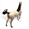 ADMIRAL-OOAK DAPPLE GREY ARABIAN MODELHORSE 3/23