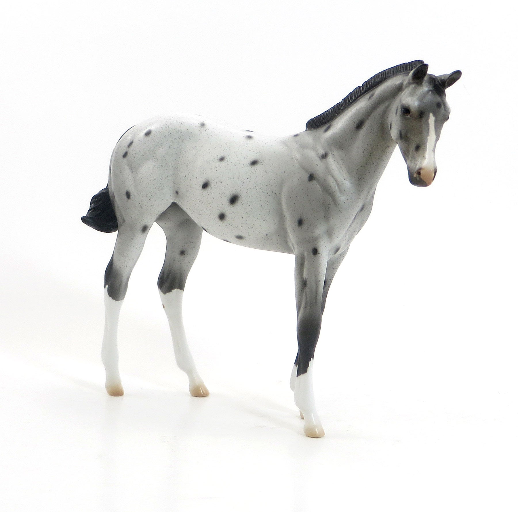 BO-PEEP - OOAK Appaloosa Weanling Model Horse - EQ 2015 - 7/23