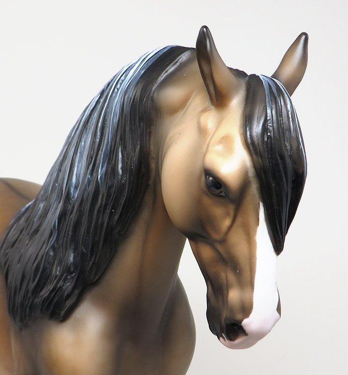 peter stone andalusian