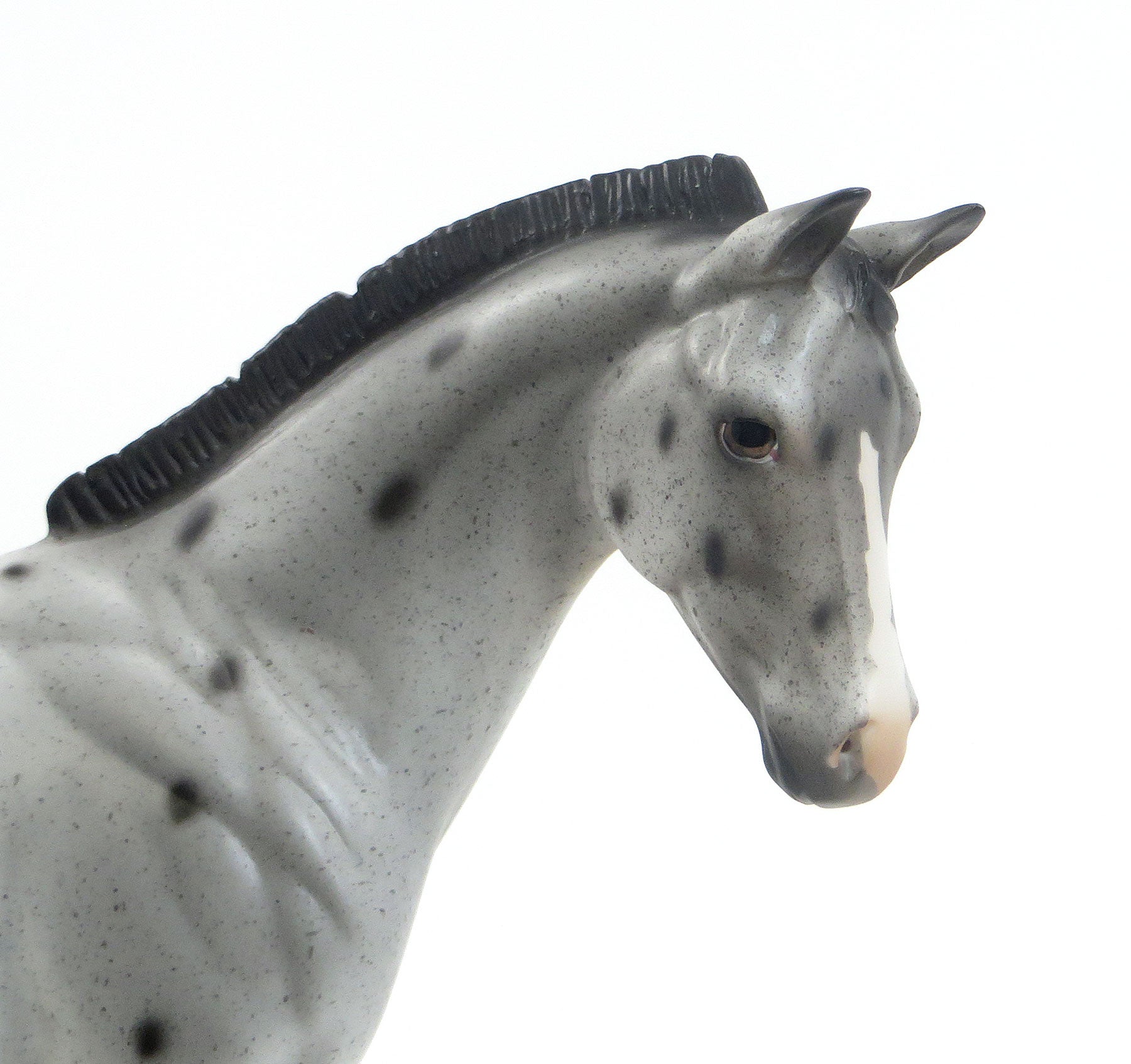 BO-PEEP - OOAK Appaloosa Weanling Model Horse - EQ 2015 - 7/23