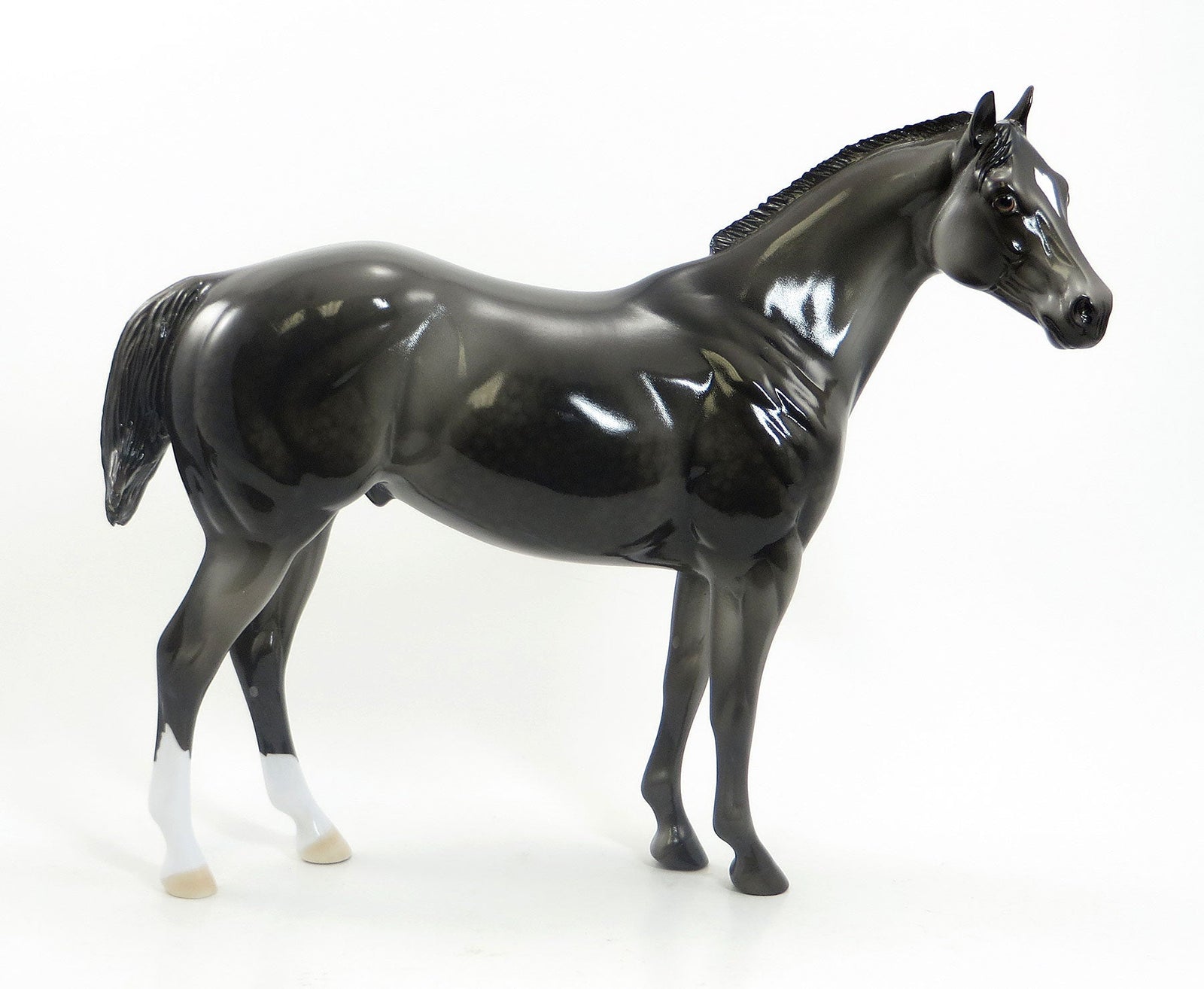 ELLSWORTH - LE2 Dark Dapple Gray Stock Horse 7/24