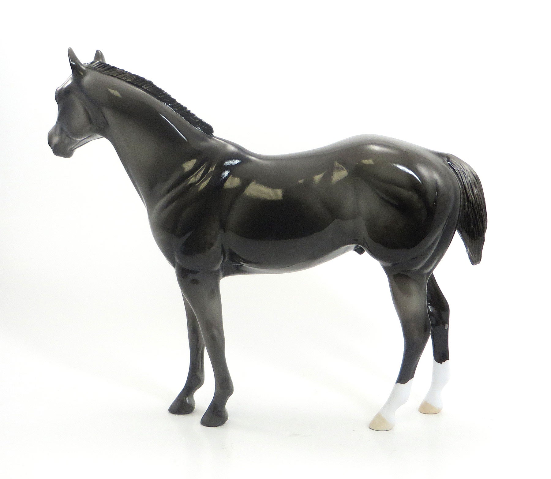 ELLSWORTH - LE2 Dark Dapple Gray Stock Horse 7/24