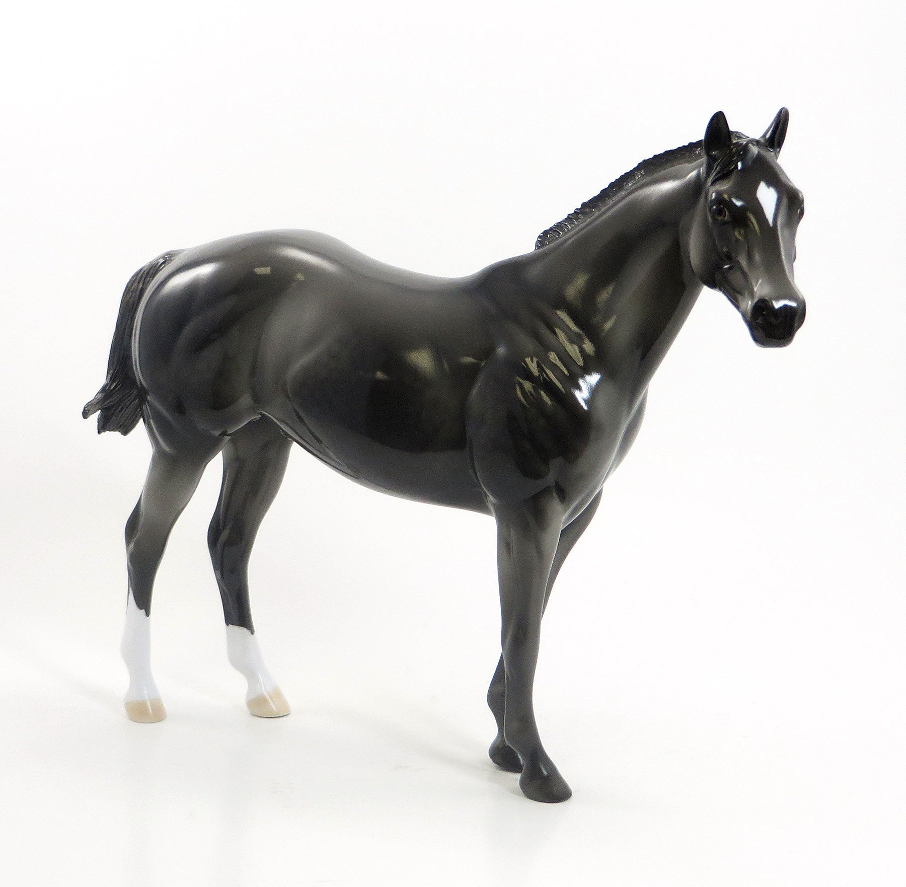 ELLSWORTH - LE2 Dark Dapple Gray Stock Horse 7/24