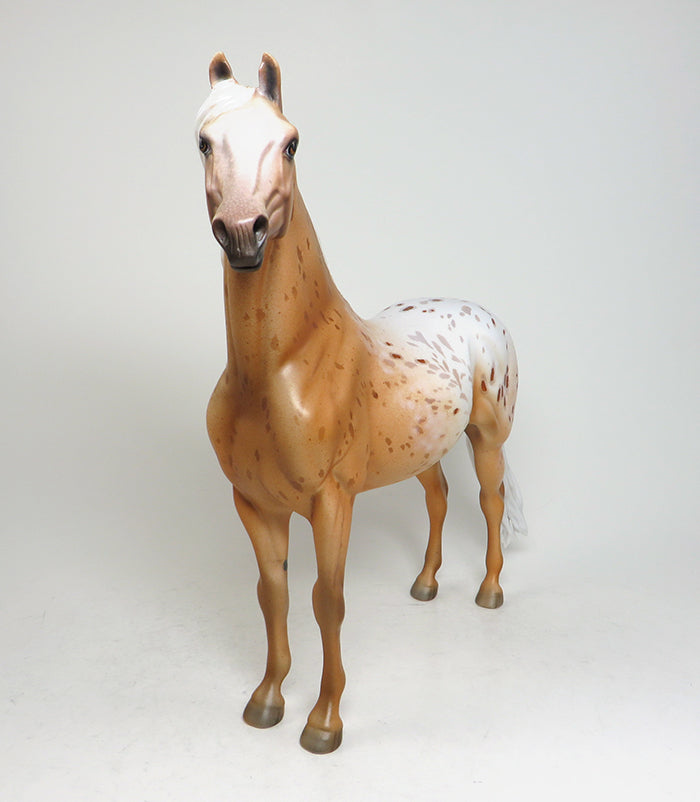 peter stone palomino morgan