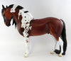 Andalusian