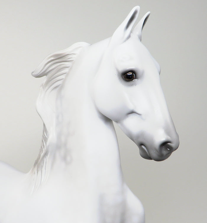 dapple grey saddlebred