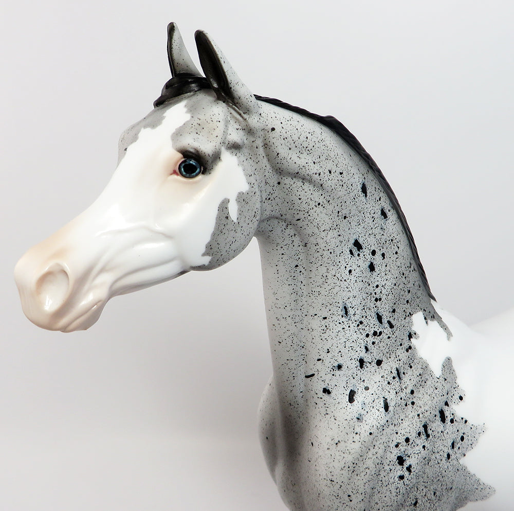 NIGHT OWL-OOAK LOUD APPALOOSA ARABIAN MODEL HORSE BY DAWN QUICK 3/22