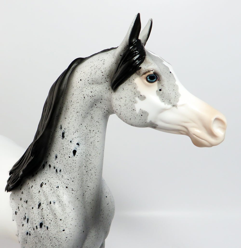 NIGHT OWL-OOAK LOUD APPALOOSA ARABIAN MODEL HORSE BY DAWN QUICK 3/22