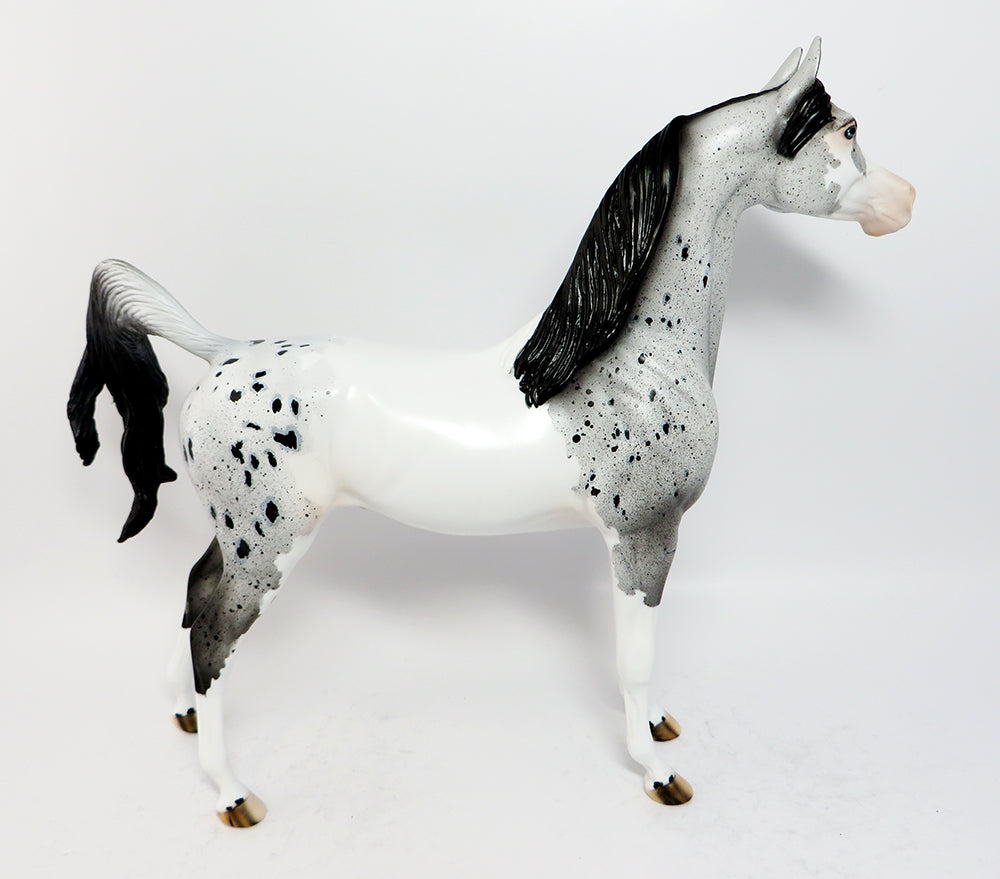 appaloosa