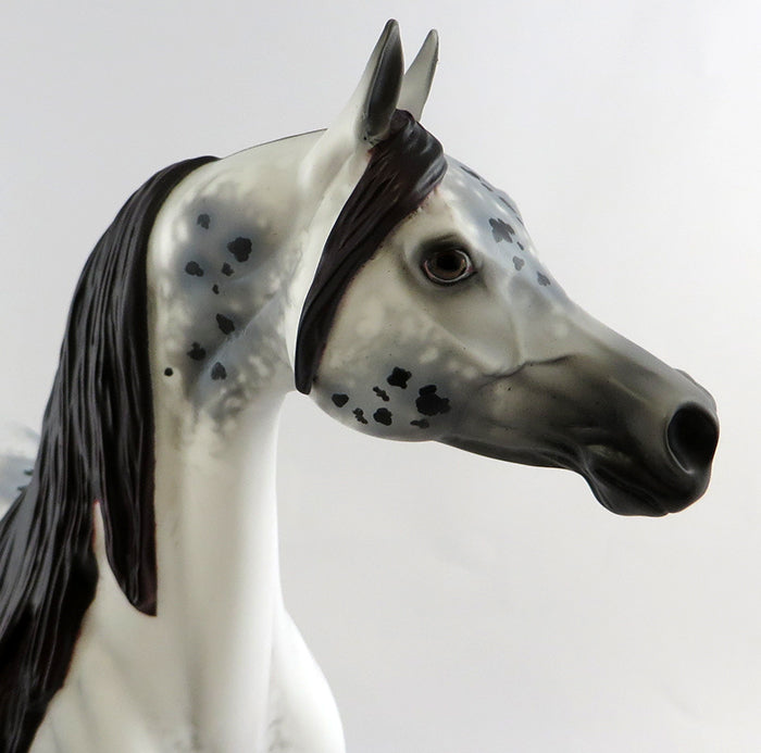 LOUD &amp; PROUD-OOAK GREY APPALOOSA  ARABIAN MODEL HORSE BY ALLEN KATT 10/18/16