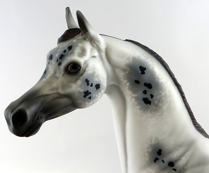 LOUD &amp; PROUD-OOAK GREY APPALOOSA  ARABIAN MODEL HORSE BY ALLEN KATT 10/18/16
