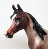 bay roan
