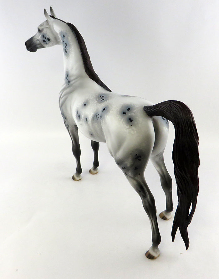 Appaloosa