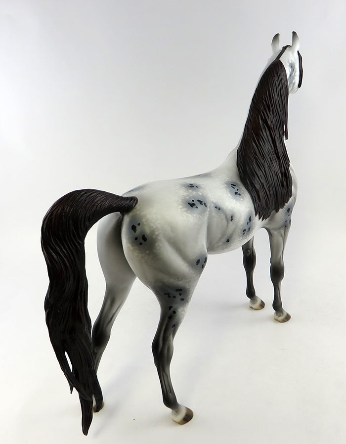 LOUD &amp; PROUD-OOAK GREY APPALOOSA  ARABIAN MODEL HORSE BY ALLEN KATT 10/18/16