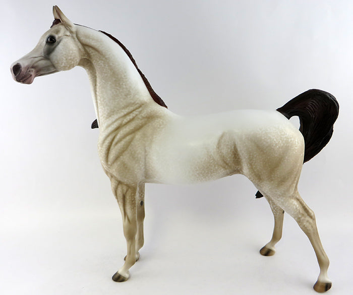 decade chestnut arabian