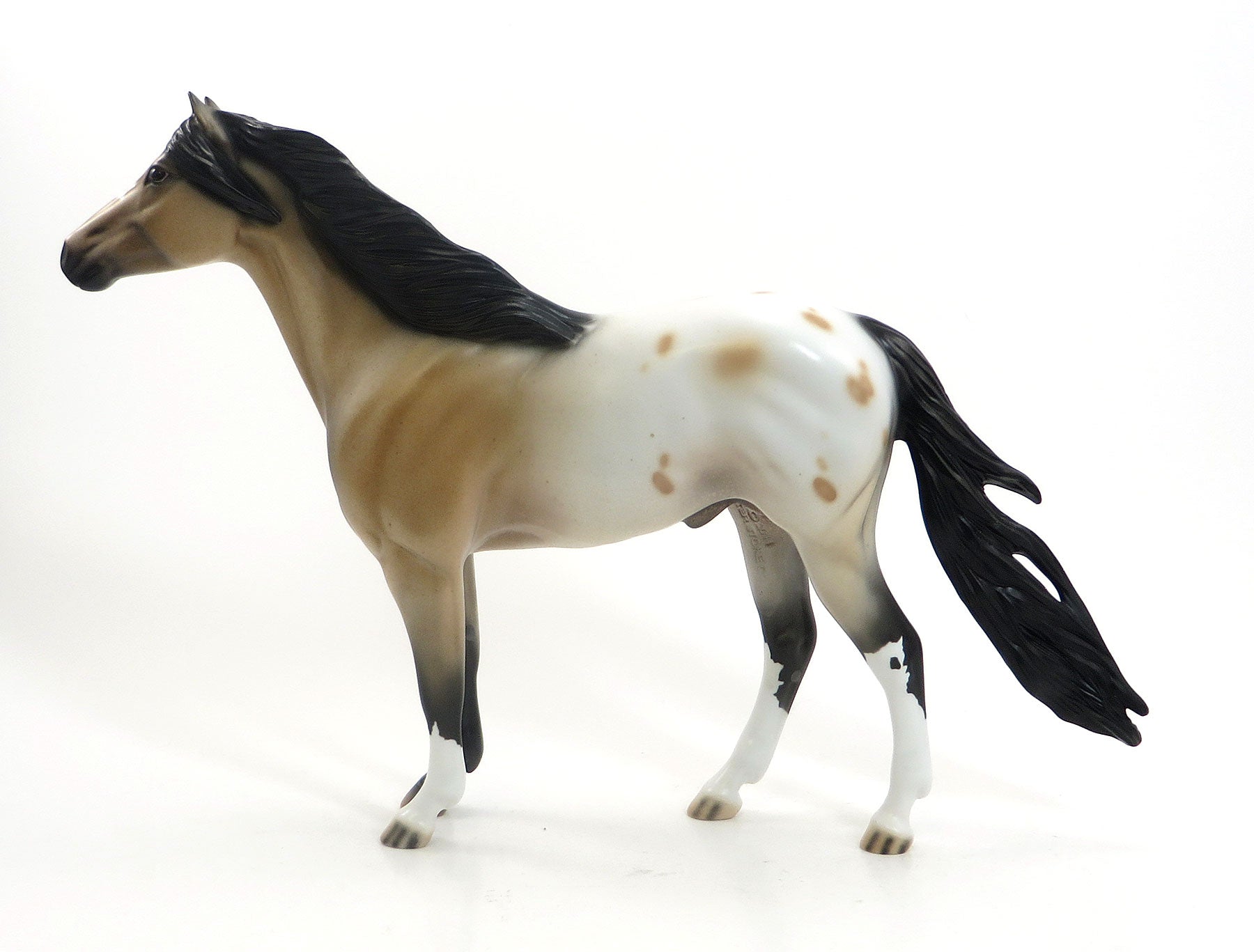 LINSEY WOOLSEY - OOAK Buckskin Appaloosa Mustang 7/23