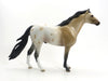 LINSEY WOOLSEY - OOAK Buckskin Appaloosa Mustang 7/23