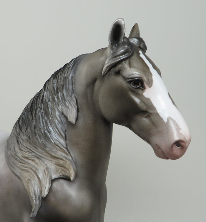 stormchaser trotting drafter 