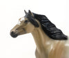 LINSEY WOOLSEY - OOAK Buckskin Appaloosa Mustang 7/23