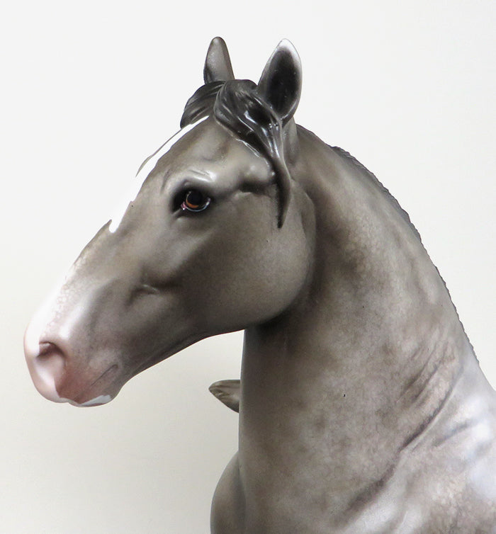 peter stone trotting drafter