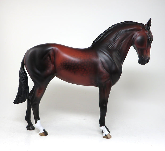 CATALONIA-LE-5 BAY SHAVED TAIL MARE ANDALUSIAN BY SHERYL LEISURE PRE-ORDER