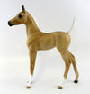 Foal