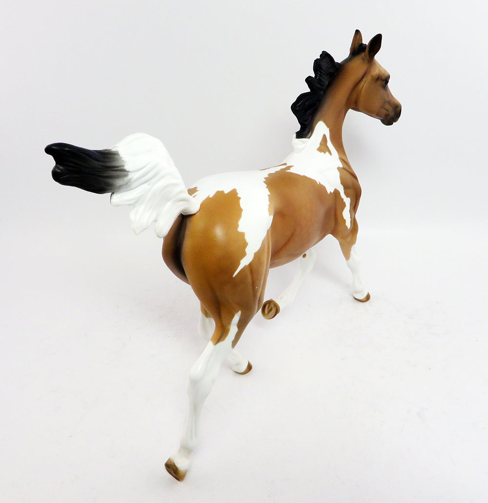 JASMINE-LE.6 BUCKSKIN PINTO YEARLING MODEL HORSE 03/23/17