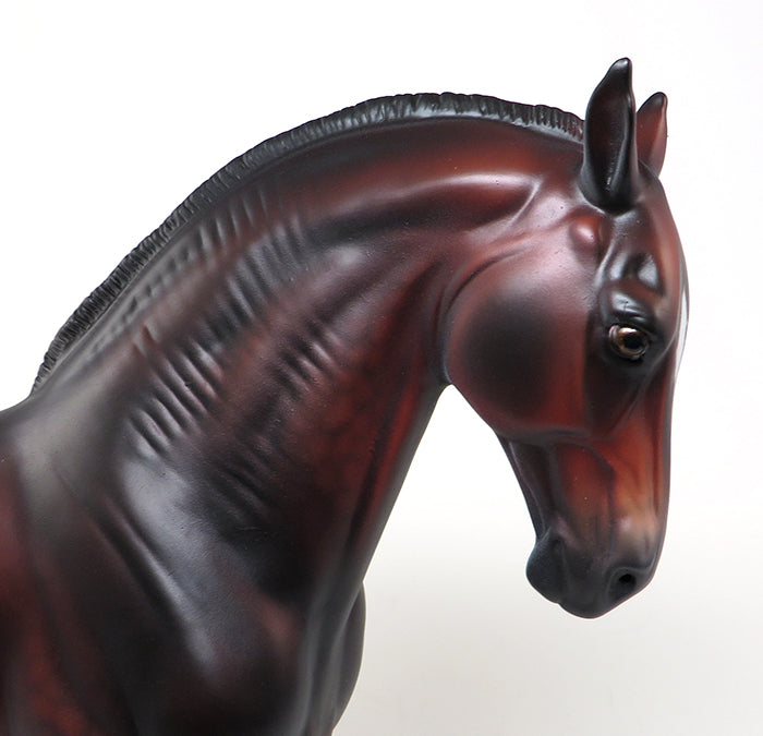 dapple bay andalusian