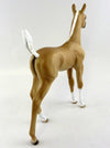 Palomino