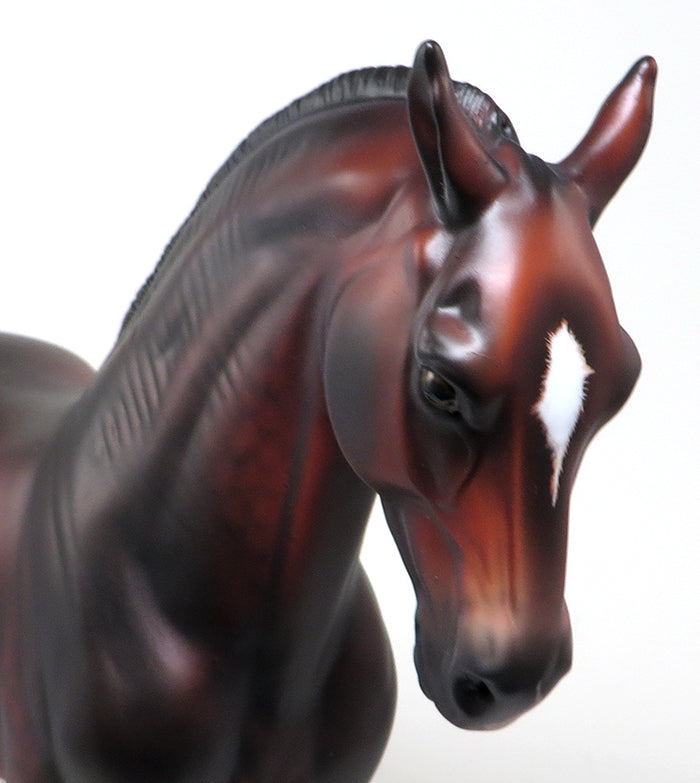 CATALONIA-LE-5 BAY SHAVED TAIL MARE ANDALUSIAN BY SHERYL LEISURE PRE-ORDER